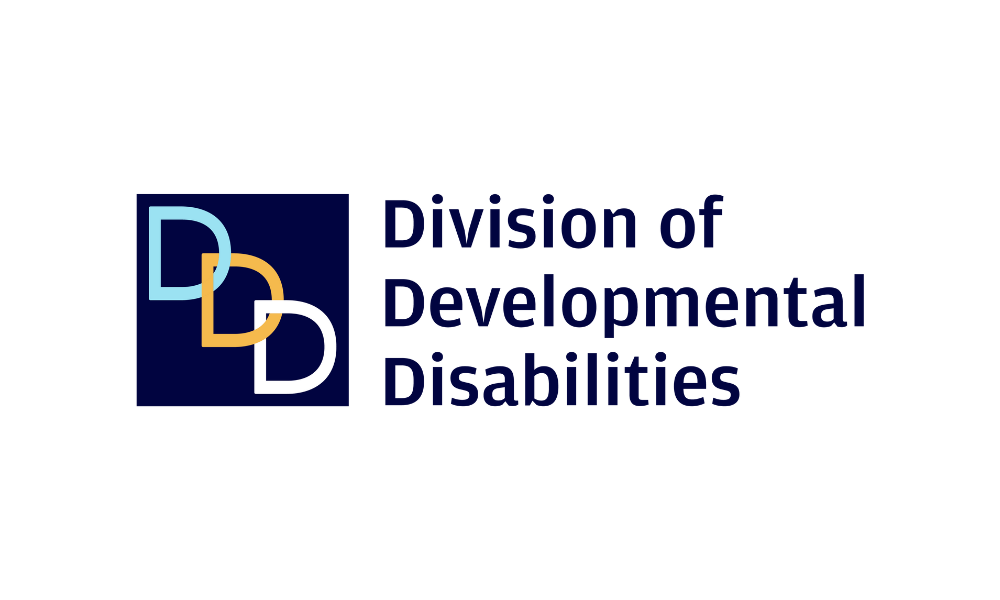 NJ DDD logo